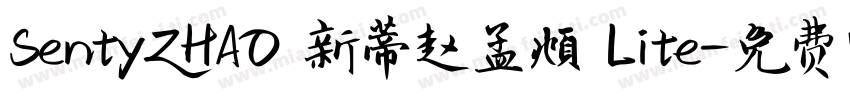 SentyZHAO 新蒂赵孟頫 Lite字体转换